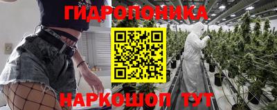 амф Лесосибирск
