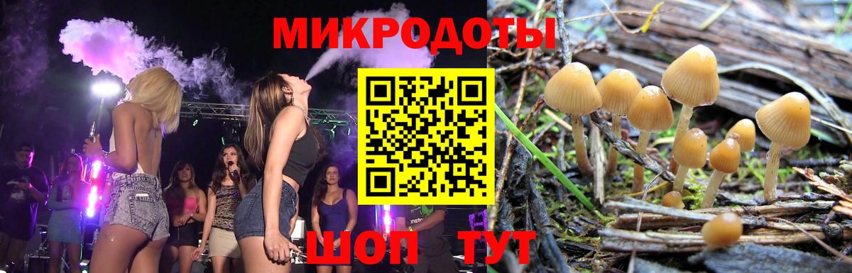 Липецк  Галлюциногенные грибы Cubensis  Галлюциногенные грибы MAGIC MUSHROOMS  Вход с VPN 